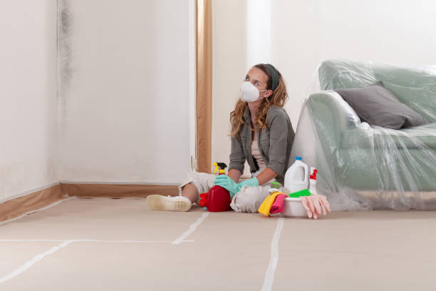 Reliable Basement Mold Removal contractor in West Chicago, IL by WQB Mold Removal